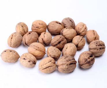 Show products in category In-shell Walnuts Picture for category In-shell Walnuts