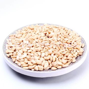 almonds for kashmiri kahwa blanched kashmir almond kernels