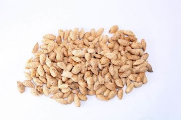 kashmir almonds with shell  one tree almonds in-shell