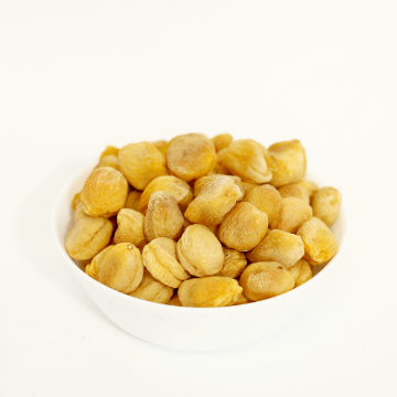 organic apricots dried apricots from afghanistan