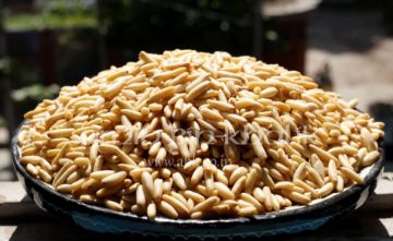 afghani chilgoza online chilgoza without shell