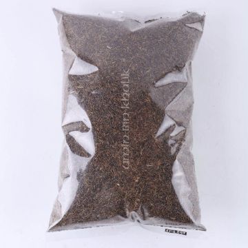 cumin powder online cumin seeds